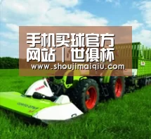 关于手机买球官网