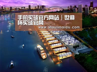 案例展示八(图1) 案例展示八(图1)
