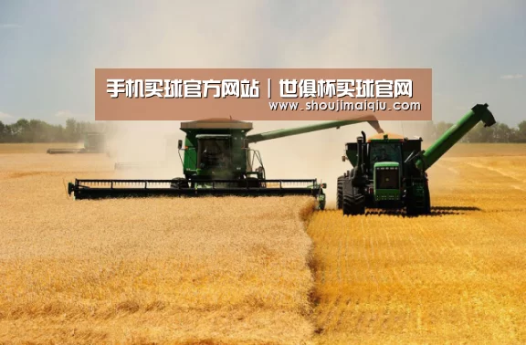 产品名称八(图1)