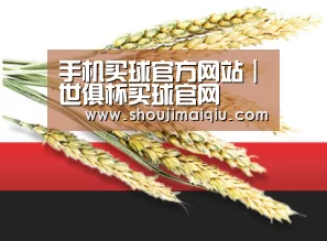 手机买球官方网站｜世俱杯买球官网