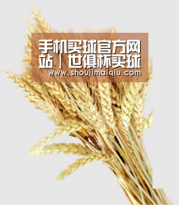 手机买球官方网站｜世俱杯买球官网
