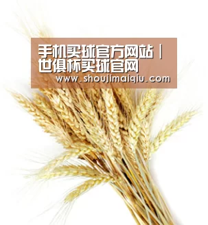 手机买球官方网站｜世俱杯买球官网